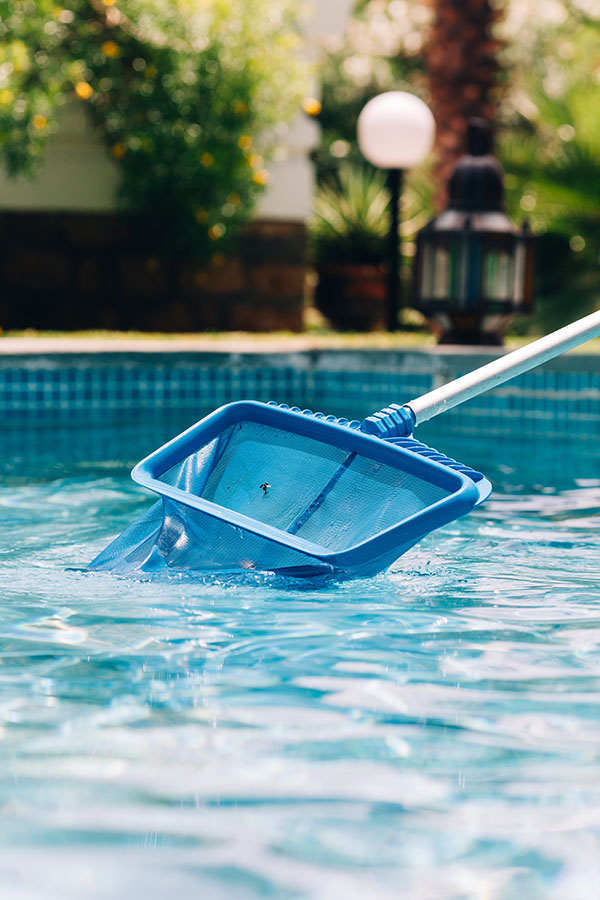 Cleaning and maintenance swimming pool with net skimmer